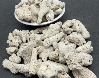White Coral Stone - Aquarium Crystal, Sea Collection Mineral Gift, Gemstone Supplies, Bulk Rocks