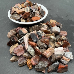 May include: A collection of raw, unpolished petrified wood stones in various shades of brown, grey, red, and white. Some stones are contained within a small white bowl, while others are scattered in a pile, showcasing natural textures and patterns.