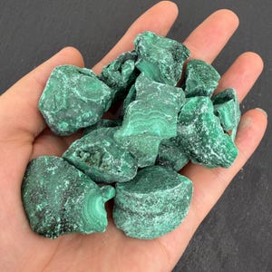 Op de afbeelding: Een verzameling ruwe malachietstenen met diepgroene tinten, complexe bandpatronen en een natuurlijke, ruwe textuur. Deze mineraalspecimens vertonen gevarieerde vormen en maten met zichtbare kristallijne lagen.
