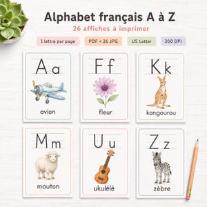 Puede incluir: Un conjunto de tarjetas educativas del alfabeto francés con las letras A, F, K, M, U y Z. Cada tarjeta muestra una letra mayúscula y minúscula con una ilustración correspondiente: avión, flor, canguro, oveja, ukelele y cebra.