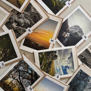 May include: A collection of rectangular greeting cards featuring various landscape photographs of forests, hills, and rocky terrain. Each card is enclosed in a light brown paper envelope and displays a small white sticker with a black dog silhouette.