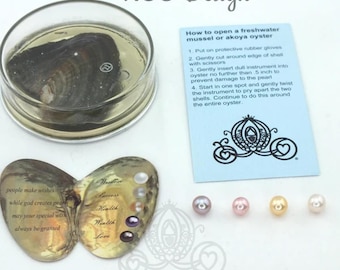 DIY Oyster Pearl Kit - Genuine Freshwater Pearls & Science Gifts - Round Pearls