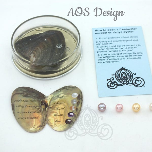 Open an Oyster Find a Pearl at Home- Pearl in Each Oyster- AOS Design