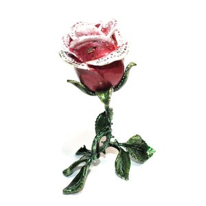 belle rose