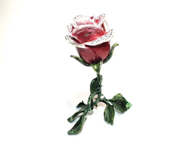 belle rose