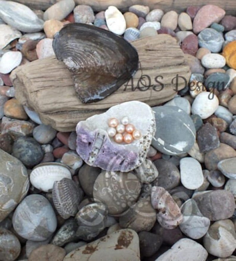 pearl oyster loose pearl