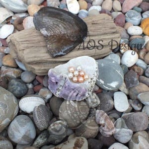 pearl oyster loose pearl