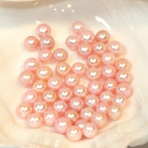 pearl oyster loose pearl