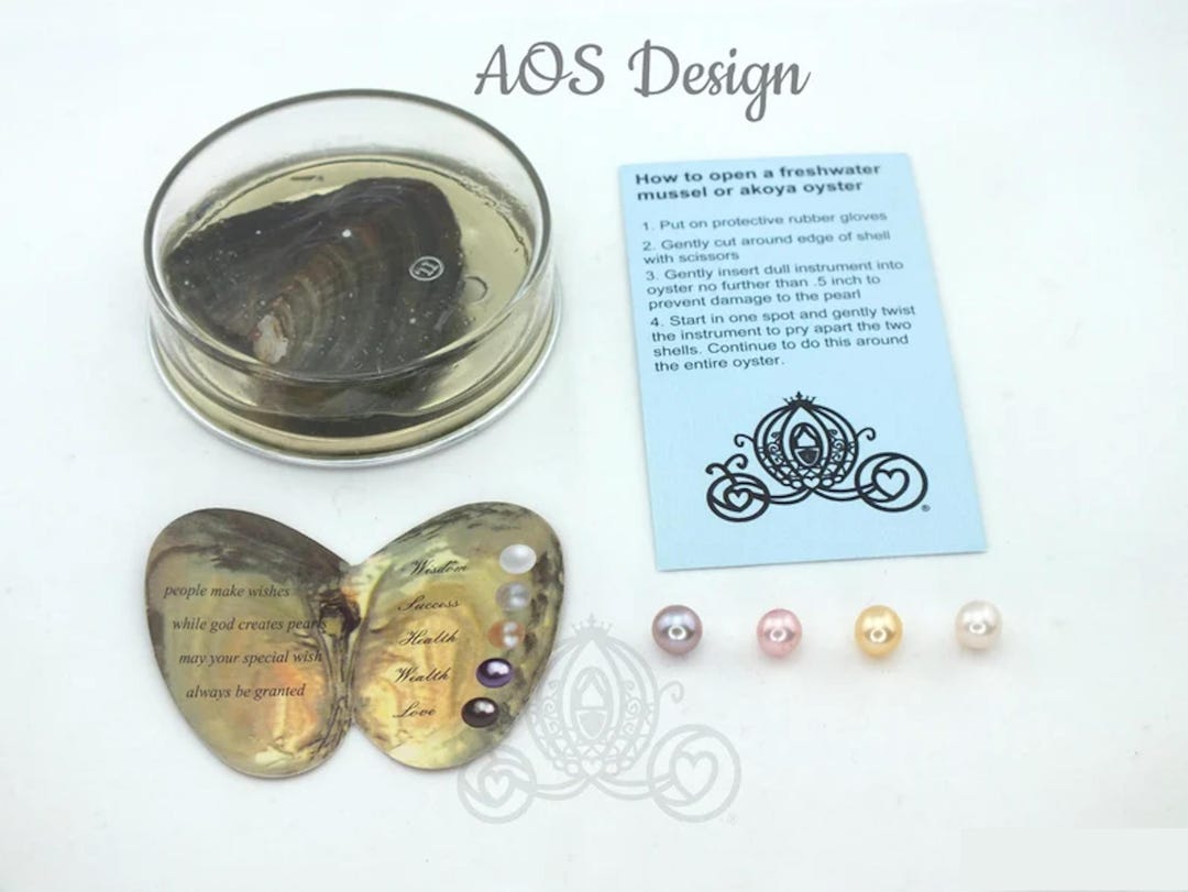 Freshwater Oyster Mussel Mollusk With Pearl- AOS Design