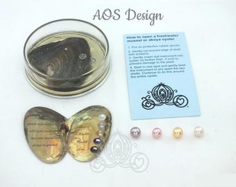 Freshwater Oyster Mussel Mollusk With Pearl- AOS Design