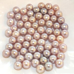 pearl oyster loose pearl