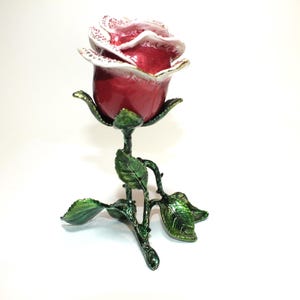 belle rose