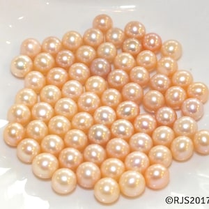 Open an Oyster Find a Pearl at Home- Pearl in Each Oyster - AOS Design