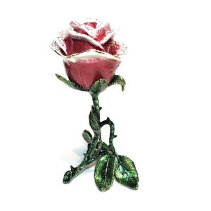belle rose