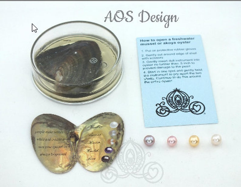 pearl oyster loose pearl
