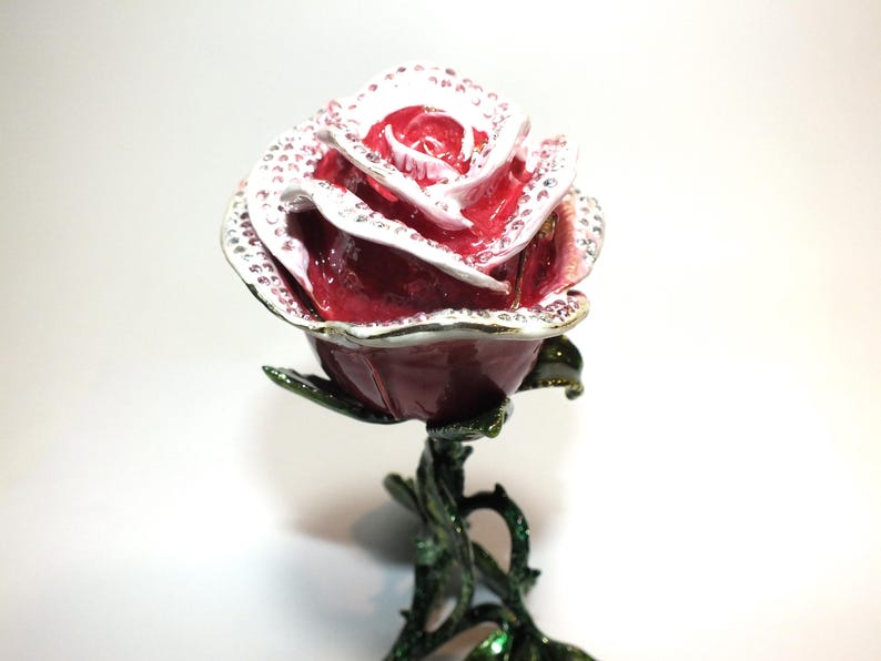 belle rose
