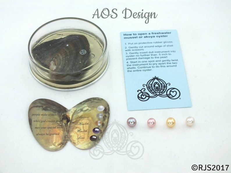 pearl oyster loose pearl