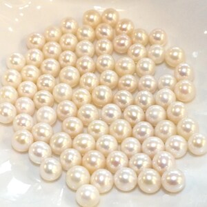 pearl oyster loose pearl