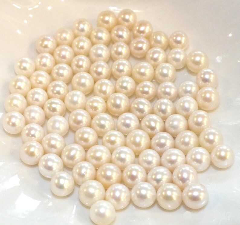 pearl oyster loose pearl