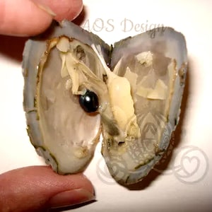 Open an Oyster Find a Pearl at Home- Pearl in Each Oyster - AOS Design