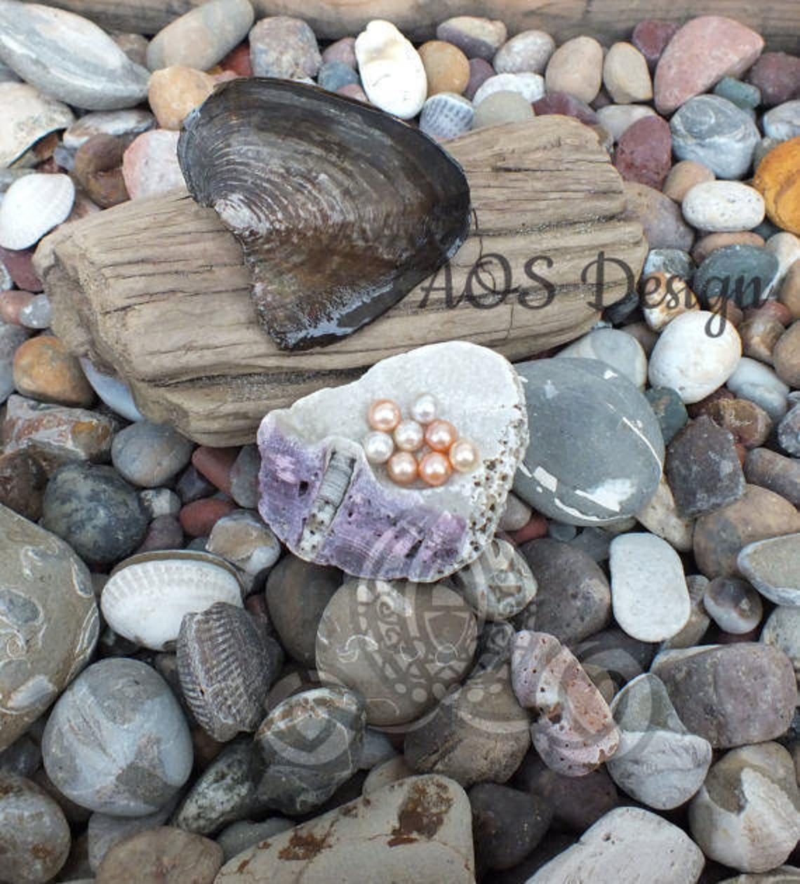 Pearl Oyster With Pearl Oyster Kit Craft Kit Kid Pearl in Etsy