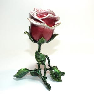 belle rose