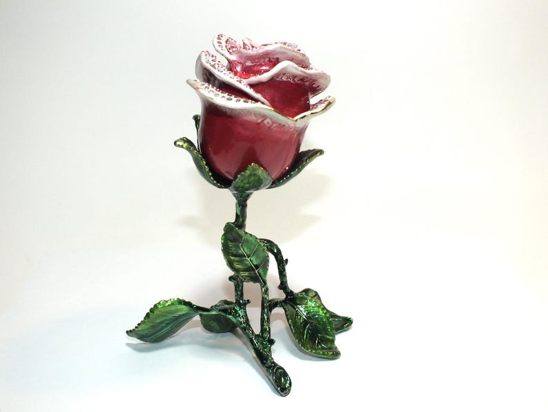 belle rose
