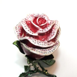belle rose
