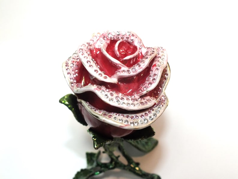 belle rose