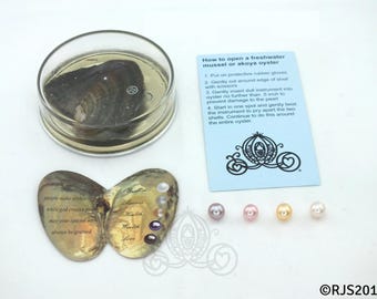 Freshwater Pearl Craft Kit for Kids | DIY Oyster Pearl Experience | Perfect Christmas Gift