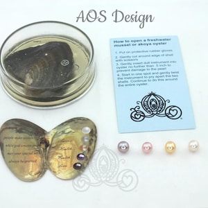DIY Oysters With Freshwater Pearls Kit - Pearl Cage Jewelry - Pearl Beads For Jewelry Making - AOS Design