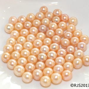 pearl oyster loose pearl