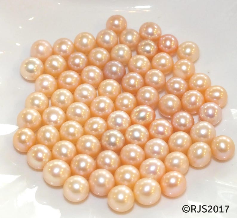 pearl oyster loose pearl