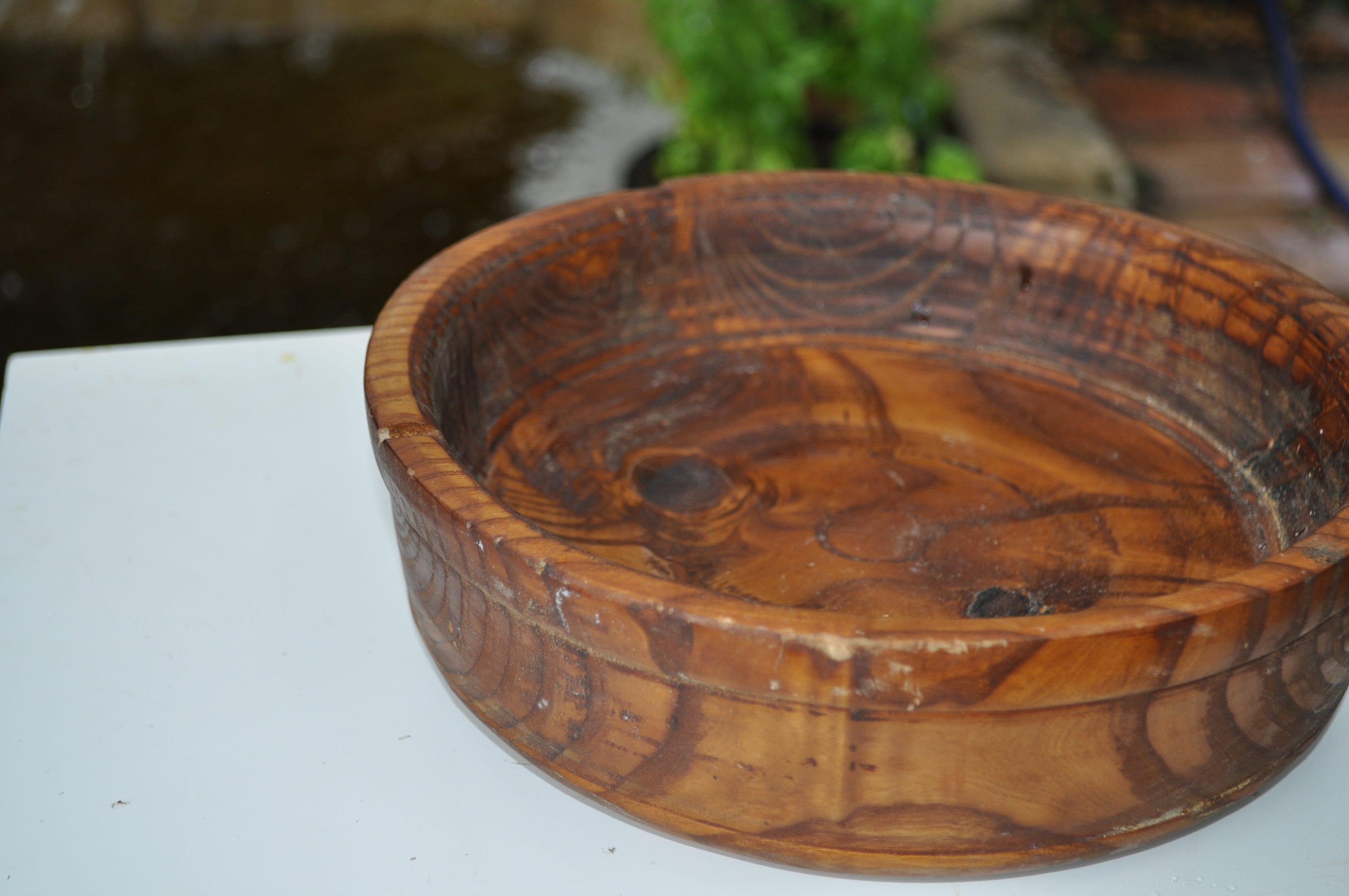 ALL Natural Russian Olive wood bowl 10 inches Round X 35 inches High X 2 Deep