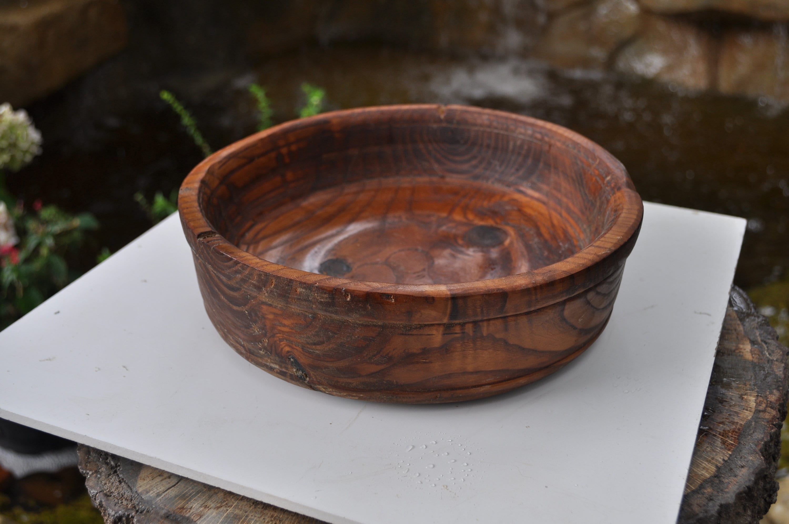 ALL Natural Russian Olive wood bowl 10 inches Round X 35 inches High X