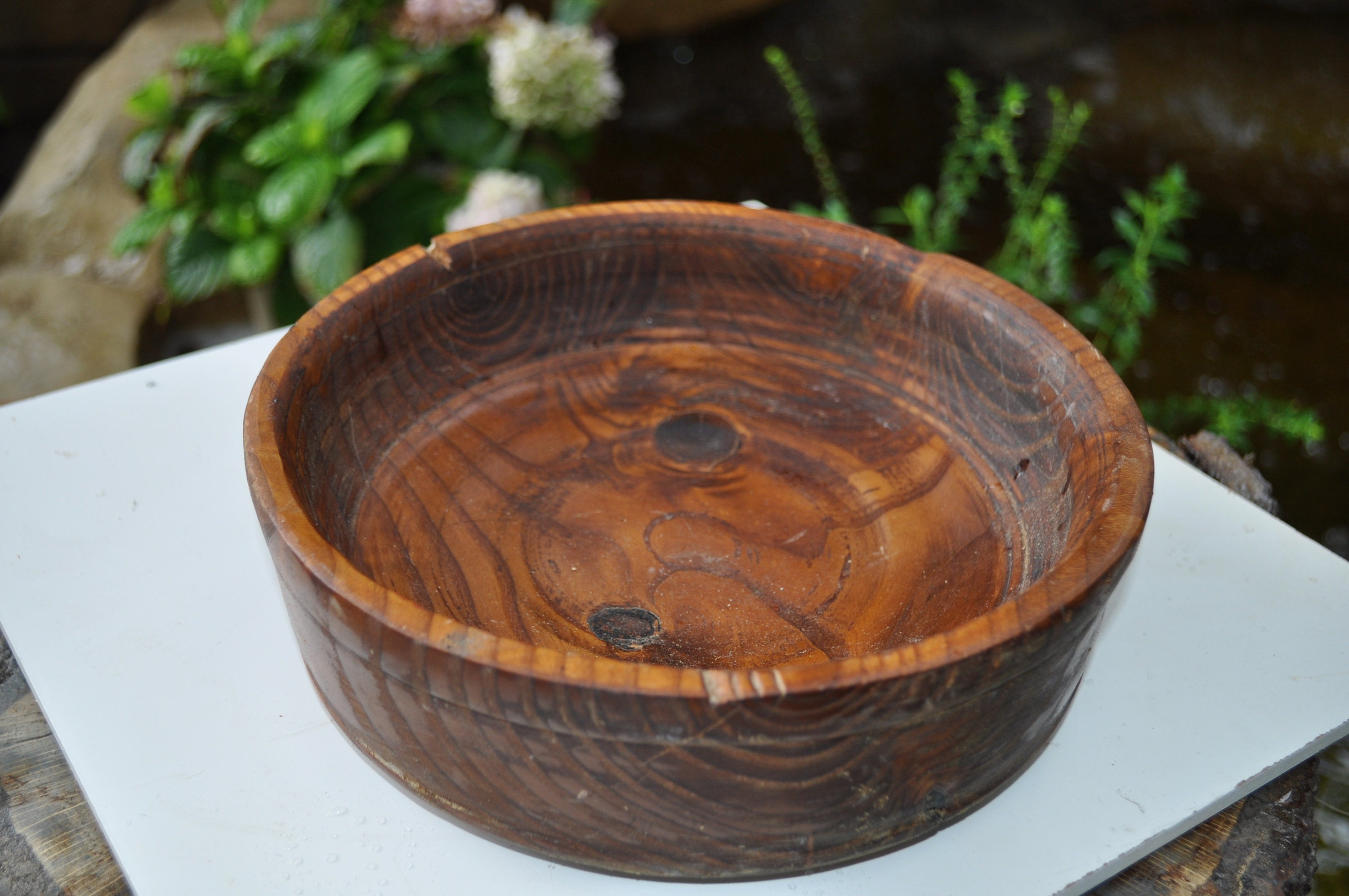 ALL Natural Russian Olive wood bowl 10 inches Round X 35 inches High X