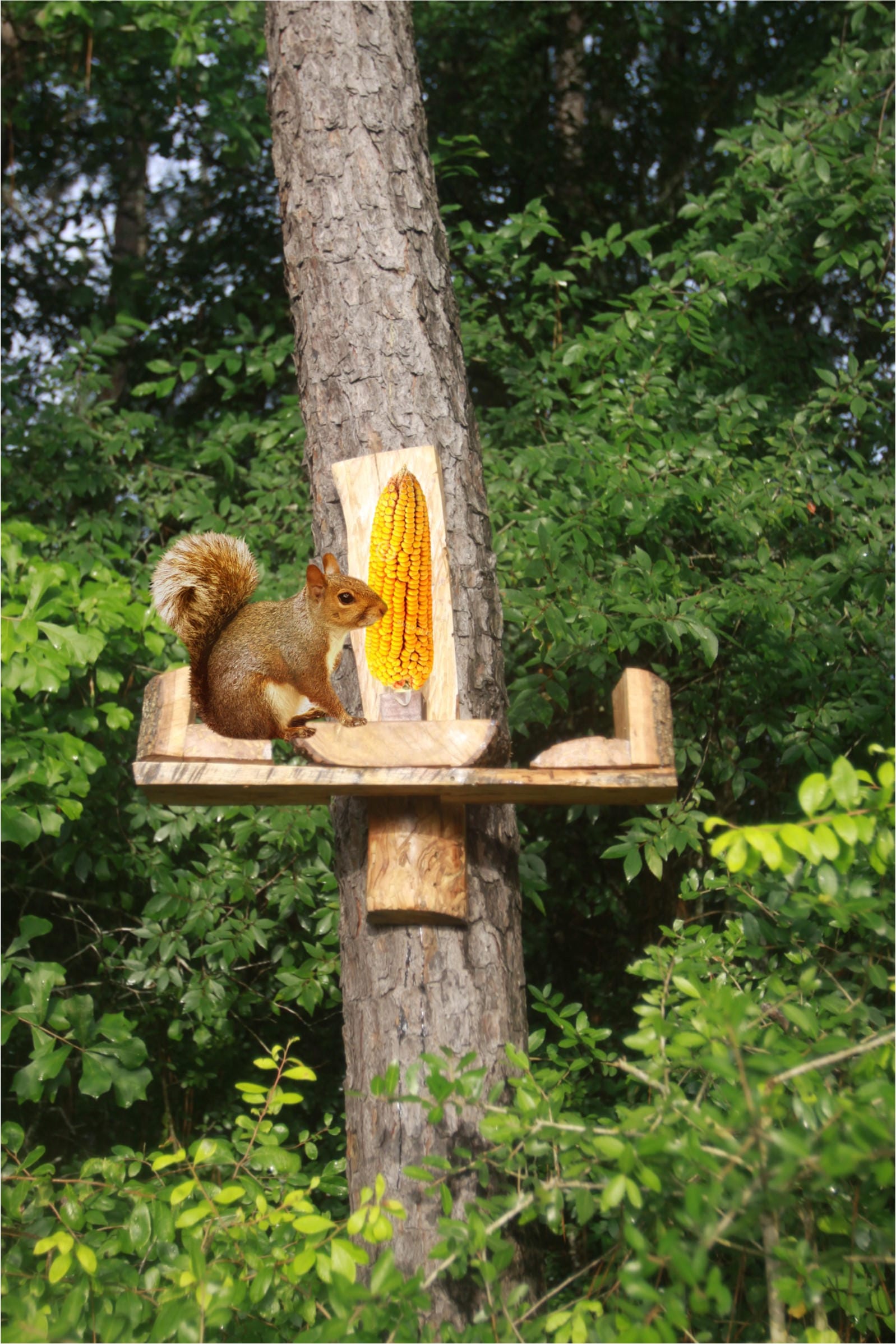 Squirrel Feeder All Hard Wood Made Sealed With Uv Protected Non