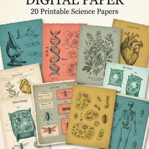 Puede incluir: Una colección de 20 papeles científicos imprimibles titulada VINTAGE BIOLOGY DIGITAL PAPER. Los papeles presentan ilustraciones de microscopios, cadenas de ADN, corazones humanos, células vegetales, insectos y esqueletos en tonos azul verdoso, rojo, amarillo y beige.