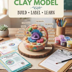 May include: An educational animal cell clay model kit featuring a multi-coloured clay cell with labelled organelles including the nucleus, mitochondria, and Golgi apparatus. Includes worksheets, a lab report, coloured pencils, and small paint pots.