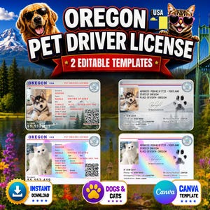 Puede incluir: Un gráfico digital que presenta dos plantillas de licencia de conducir para mascotas de Oregón con fotos de un cachorro de husky y un gato blanco. Las tarjetas incluyen campos para nombre, dirección, fecha de nacimiento y número de microchip.