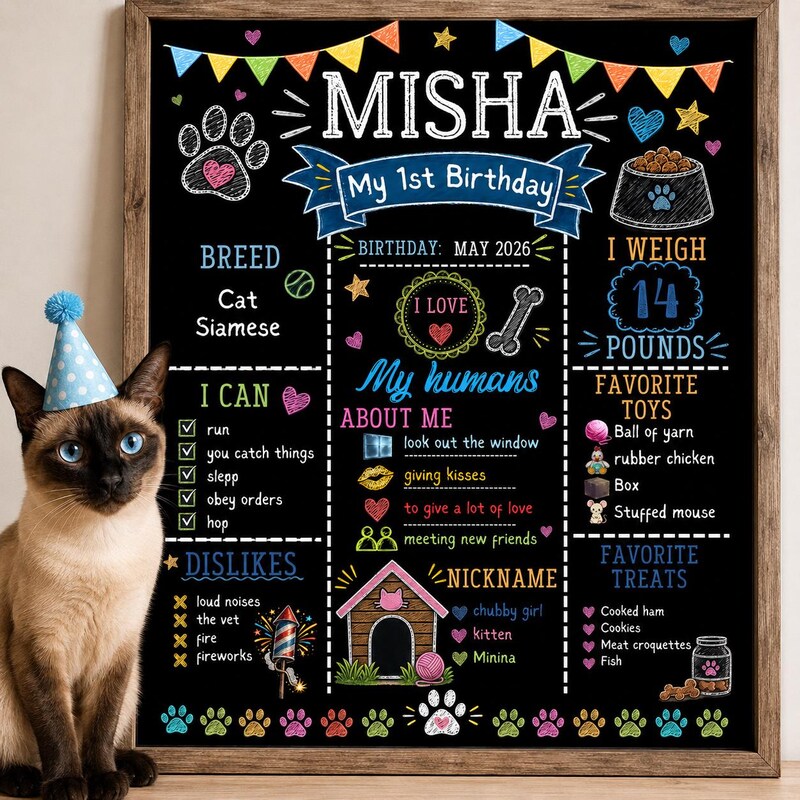 Cats 1st Birthday Gifts 60 Gift Ideas For 2026