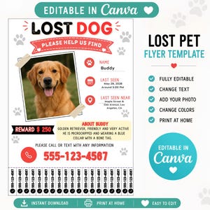 May include: A lost dog flyer template featuring a photo of a golden retriever, the text LOST DOG, PLEASE HELP US FIND, and placeholders for pet details including name, date, location, and a reward of $250, with tear-off contact strips at the bottom.
