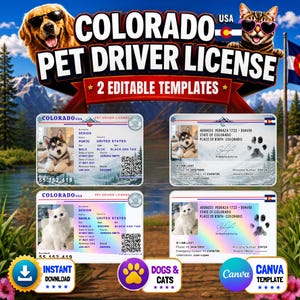 Puede incluir: Un gráfico digital que presenta dos plantillas editables de licencia de conducir para mascotas de Colorado. Las tarjetas muestran fotos de mascotas, detalles personales, un código QR y una huella de pata. El diseño incluye el texto Colorado Pet Driver License.