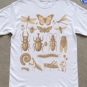 Può includere: Una t-shirt bianca a maniche corte con una dettagliata stampa grafica color marrone chiaro di vari insetti, tra cui una farfalla, una libellula, coleotteri, una mantide e un millepiedi, disposti in uno schema a griglia sul petto.