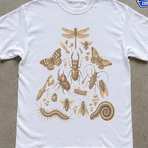 Può includere: Una t-shirt bianca a maniche corte con una stampa grafica centrale di vari insetti e artropodi in tonalità marroni. L'illustrazione include una libellula, farfalle, coleotteri, una mantide, un centopiedi e un millepiedi disposti in un gruppo.