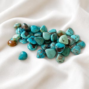 Op de afbeelding: Een verzameling kleine, gepolijste turkooisstenen in verschillende tinten blauw en groen. Elke steen heeft unieke natuurlijke matrixpatronen in bruin en zwart, met gladde, afgeronde randen en onregelmatige, organische vormen die samen liggen.