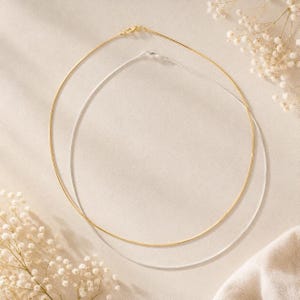 Può includere: Due sottili collane circolari sono mostrate, una in una tonalità oro lucido e l'altra in una tonalità argento brillante. Entrambe le collane presentano un design a filo liscio e minimalista con un semplice meccanismo di chiusura visibile in alto.