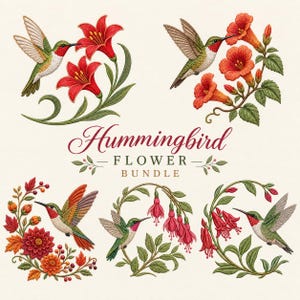 Puede incluir: Un conjunto de ilustraciones digitales titulado Hummingbird Flower Bundle que presenta cinco diseños de estilo bordado de colibríes con gargantas rojas interactuando con varias flores rojas y naranjas, incluyendo lirios y fucsias.