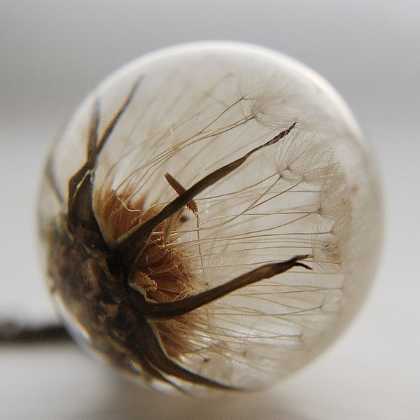 Dandelion Ball Necklace Whole Dandelion Seeds Make a Wish Eco Resin Globe Dandelion Clock Ball Specimen Tiny Small Blow Ball