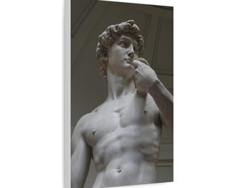 Michelangelo David Statue Matte Canvas 2 of 5 in series